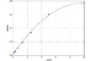 Catenin, beta (CATNB) ELISA Kit
