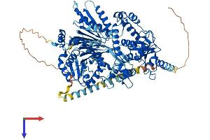 DHX15 Protein (AA 1-795) (His tag)