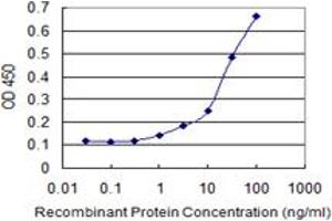 Detection limit for recombinant GST tagged CHD1 is 0. (CHD1 抗体  (AA 1177-1272))