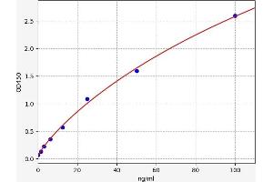 IFI30 ELISA 试剂盒