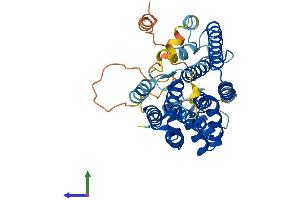 AlphaFold protein structure predicition of Mouse Recombinant Pdss2 Protein, UniprotID Q33DR3 (PDSS2 Protein (AA 1-401) (His tag))