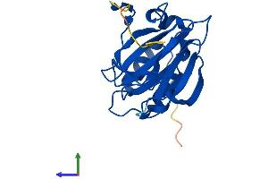 Protein Structure (PS) image for Cysteine Dioxygenase, Type I (CDO1) (AA 1-200) protein (His tag) (ABIN7553068)