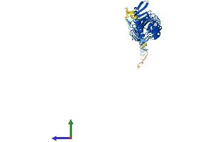 Protein Structure (PS) image for Leucine Rich Repeat Containing 39 (LRRC39) (AA 1-337) protein (His tag) (ABIN7558562)