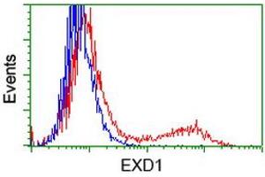 HEK293T cells transfected with either RC206223 overexpress plasmid (Red) or empty vector control plasmid (Blue) were immunostained by anti-EXD1 antibody (ABIN2454018), and then analyzed by flow cytometry. (EXD1 抗体)