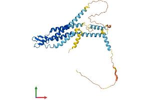 Protein Structure (PS) image for Gap Junction Protein, alpha 4, 37kDa (GJA4) (AA 1-333) protein (His tag) (ABIN7546941)