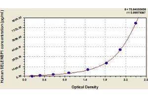 Typical Standard Curve (SELENBP1 ELISA 试剂盒)