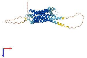 AlphaFold protein structure predicition of Mouse Recombinant Htr5b Protein, UniprotID P31387
