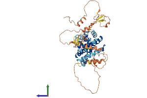 AlphaFold protein structure predicition of Mouse Recombinant Nr0b1 Protein, UniprotID Q61066