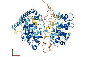 Protein Structure (PS) image for Lysophosphatidylcholine Acyltransferase 1 (LPCAT1) (AA 1-534) protein (His tag) (ABIN7563666)