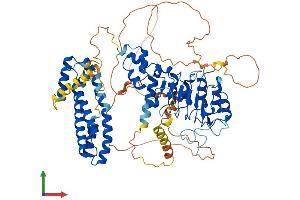 AlphaFold protein structure predicition of Mouse Recombinant Fbxl5 Protein, UniprotID Q8C2S5