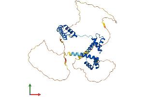 Protein Structure (PS) image for Paired Box 6 (PAX6) (AA 1-422) protein (His tag) (ABIN7550553)