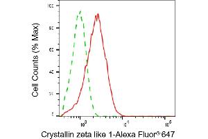 Flow cytometric analysis of Crystallin zeta like 1 expression in HeLa cells using Crystallin zeta like 1 antibody (ABIN7798170), 1:1,000). (CRYZL1 抗体)