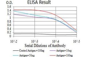 Black line: Control Antigen (100 ng), Purple line: Antigen(10 ng), Blue line: Antigen (50 ng), Red line: Antigen (100 ng), (KLF6 抗体  (AA 71-283))