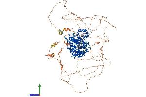 Protein Structure (PS) image for DENN/MADD Domain Containing 1A (DENND1A) (AA 1-1016) protein (His tag) (ABIN7564648)