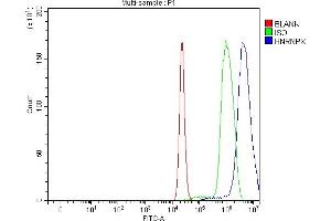 Flow Cytometry analysis of C6 cells using anti-hnRNP K/HNRNPK antibody (ABIN7601650). (HNRNPK 抗体  (AA 40-463))