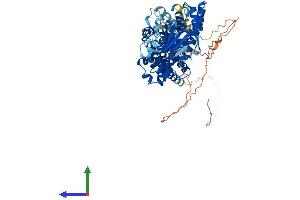 Protein Structure (PS) image for rho-Related BTB Domain Containing 2 (RHOBTB2) (AA 1-728) protein (His tag) (ABIN7559979)