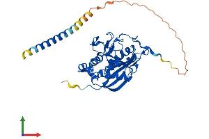 AlphaFold protein structure predicition of Human Recombinant B4GALT2 Protein, UniprotID O60909