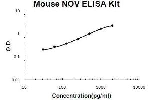 Mouse NOV/CCN3 PicoKine ELISA Kit standard curve (NOV ELISA 试剂盒)