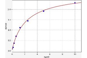 PIK3CA ELISA 试剂盒