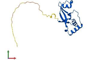 Protein Structure (PS) image for Sulfiredoxin 1 (SRX1) (AA 1-136) protein (His tag) (ABIN7561157)