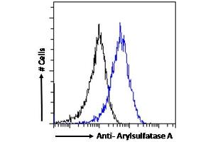 ABIN238536 Flow cytometric analysis of paraformaldehyde fixed HeLa cells (blue line), permeabilized with 0.