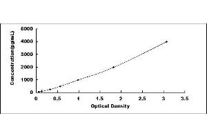 Typical standard curve (REG1A ELISA 试剂盒)