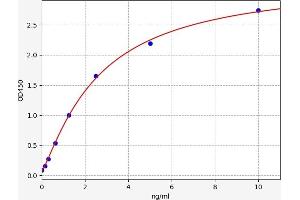 Typical standard curve (HNRNPU ELISA 试剂盒)