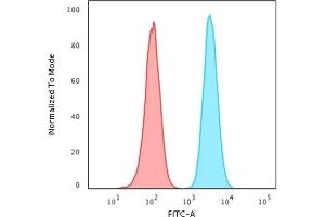 Flow Cytometric Analysis of PFA-fixed HeLa cells labeling HSP60 with HSP60 Mouse Monoclonal Antibody (CPTC-HSPD1-1) followed by Goat anti-Mouse IgG-CF488 (Blue) Isotype Control (Red) (HSPD1 抗体)