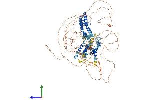 AlphaFold protein structure predicition of Mouse Recombinant Kcnq5 Protein, UniprotID Q9JK45 (KCNQ5 Protein (AA 1-933) (His tag))