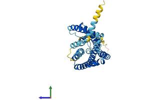 Protein Structure (PS) image for Olfactory Receptor, Family 2, Subfamily C, Member 3 (OR2C3) (AA 1-320) protein (His tag) (ABIN7550241)