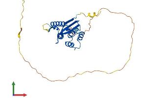 Protein Structure (PS) image for Sorting Nexin 11 (SNX11) (AA 1-271) protein (His tag) (ABIN7560044)