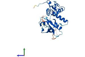 Protein Structure (PS) image for Polycomb Group Ring Finger 3 (PCGF3) (AA 1-242) protein (His tag) (ABIN7550648)