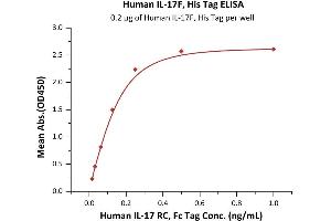 Interleukin 17F (IL17F) (AA 31-163) (Active) protein (His tag)