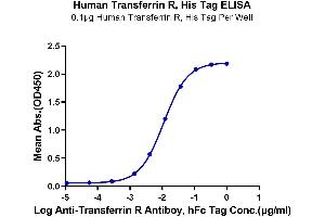 ELISA image for Transferrin Receptor (p90, CD71) (TFRC) (AA 89-760) protein (His-Avi Tag) (ABIN7275702)