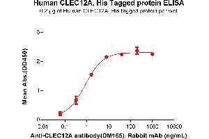 ELISA image for C-Type Lectin Domain Family 12, Member A (CLEC12A) (AA 65-265) protein (His tag) (ABIN6964075)