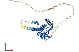 Protein Structure (PS) image for MAD2L1 Binding Protein (MAD2L1BP) (AA 1-276) protein (His tag) (ABIN7561362)