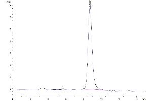 The purity of Human SERPINF2 is greater than 95 % as determined by SEC-HPLC.