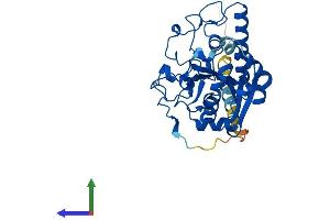 Protein Structure (PS) image for Histo-blood group A transferase (ABO) (AA 1-332) protein (His tag) (ABIN7563205)