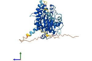 Protein Structure (PS) image for serine/threonine Kinase 32B (STK32B) (AA 1-414) protein (His tag) (ABIN7561615)
