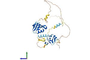 Protein Structure (PS) image for PDZ and LIM Domain 2 (PDLIM2) (AA 1-349) protein (His tag) (ABIN7559668)