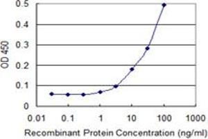 ELISA image for anti-ClpP Caseinolytic Peptidase, ATP-Dependent, Proteolytic Subunit Homolog (E. Coli) (CLPP) (AA 178-277) antibody (ABIN563560)