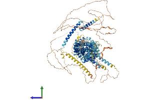 Protein Structure (PS) image for Sterol Regulatory Element Binding Transcription Factor 1 (SREBF1) (AA 1-1134) protein (His tag) (ABIN7565204)