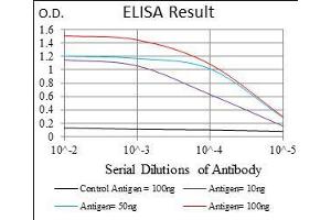 Black line: Control Antigen (100 ng), Purple line: Antigen(10 ng), Blue line: Antigen (50 ng), Red line: Antigen (100 ng), (IL3RA 抗体  (AA 200-305))
