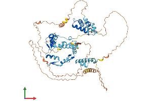 Protein Structure (PS) image for Zinc Finger Protein 274 (ZNF274) (AA 1-653) protein (His tag) (ABIN7545314)