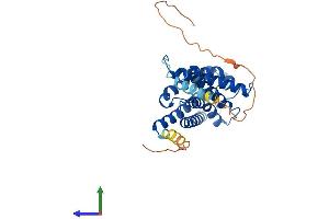 Protein Structure (PS) image for Aquaporin 4 (AQP4) (AA 1-323) protein (His tag) (ABIN7556460)