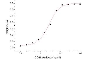 CD46 (CD46) (AA 35-328) (Active) protein (His tag)