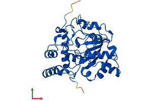 Protein Structure (PS) image for Sulfotransferase Family 1B Member 1 (SULT1B1) (AA 1-299) protein (His tag) (ABIN7561734)