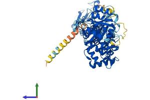 Protein Structure (PS) image for Ras Homolog Gene Family, Member T2 (RHOT2) (AA 1-618) protein (His tag) (ABIN7549448)