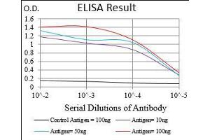 Black line: Control Antigen (100 ng), Purple line: Antigen(10 ng), Blue line: Antigen (50 ng), Red line: Antigen (100 ng), (PER3 抗体  (AA 723-954))