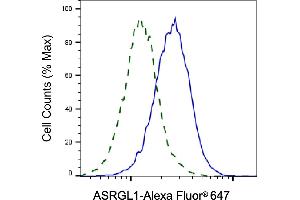 Validation of ASRGL1 knockdown using flow cytometry. (ASRGL1 抗体)
